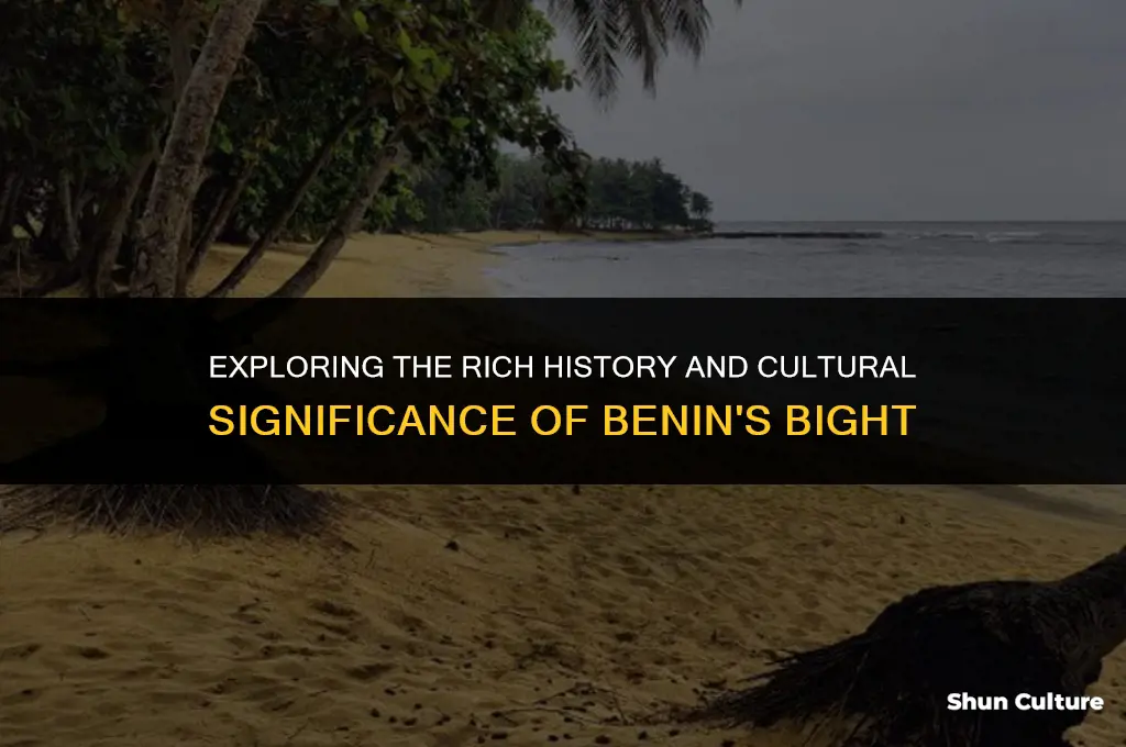 what is the bight of benin