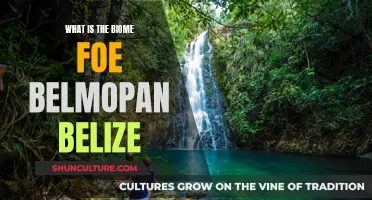 The Urban Jungle of Belmopan: Exploring Belize's Unique Biome