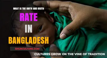 Exploring Bangladesh's Birth and Death Rates: Trends and Insights