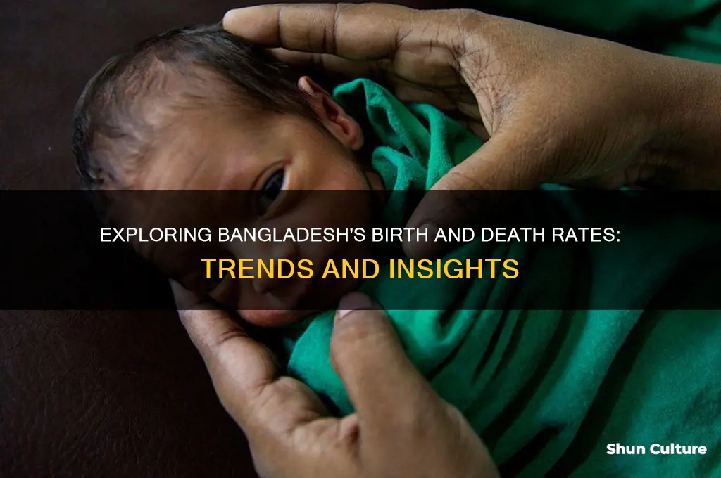 what is the birth and death rate in bangladesh