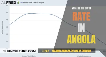 Angola's Birth Rate: A Comprehensive Overview