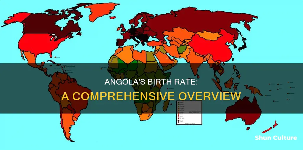 what is the birth rate in angola