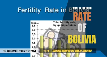 Exploring Bolivia's Birth Rate: Trends and Insights