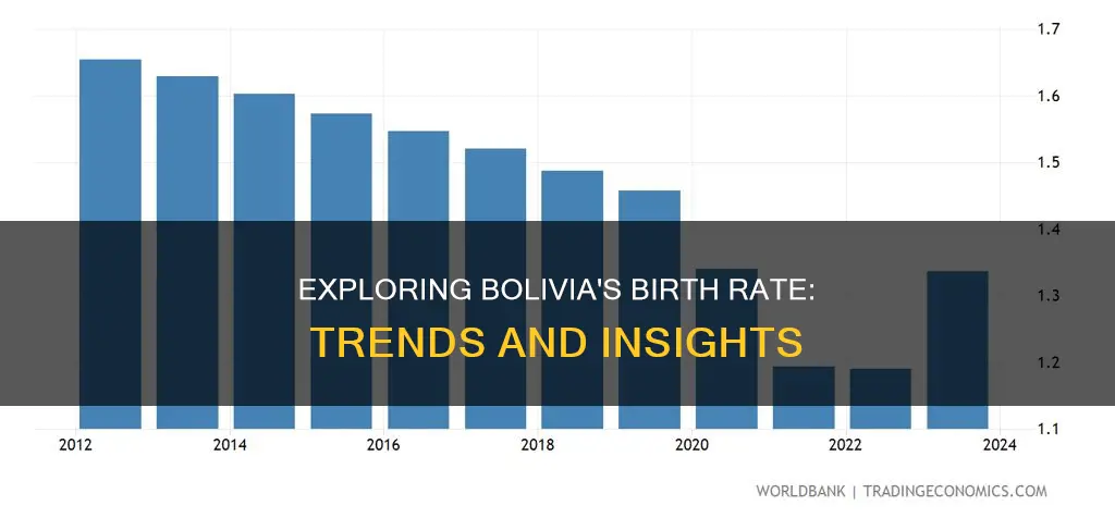 what is the birth rate of bolivia