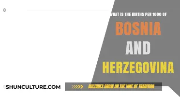 Bosnia and Herzegovina's Birth Rate: Births per 1000 Explained
