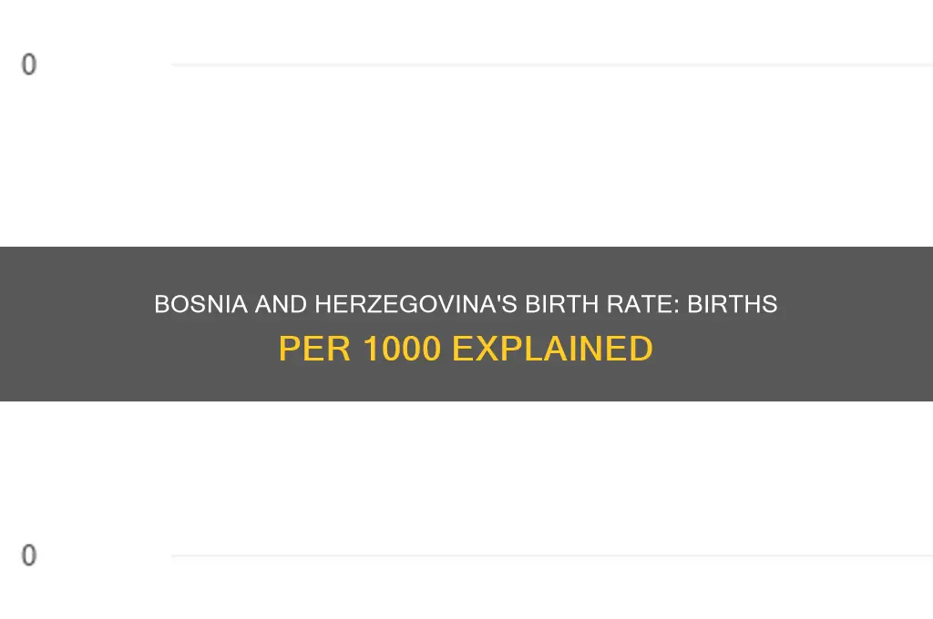 what is the births per 1000 of bosnia and herzegovina