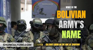 The Bolivian Army: Unraveling the Name and Its History