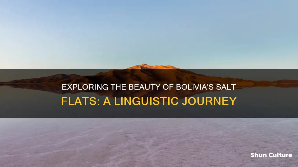 what is the bolivian word for salt flats