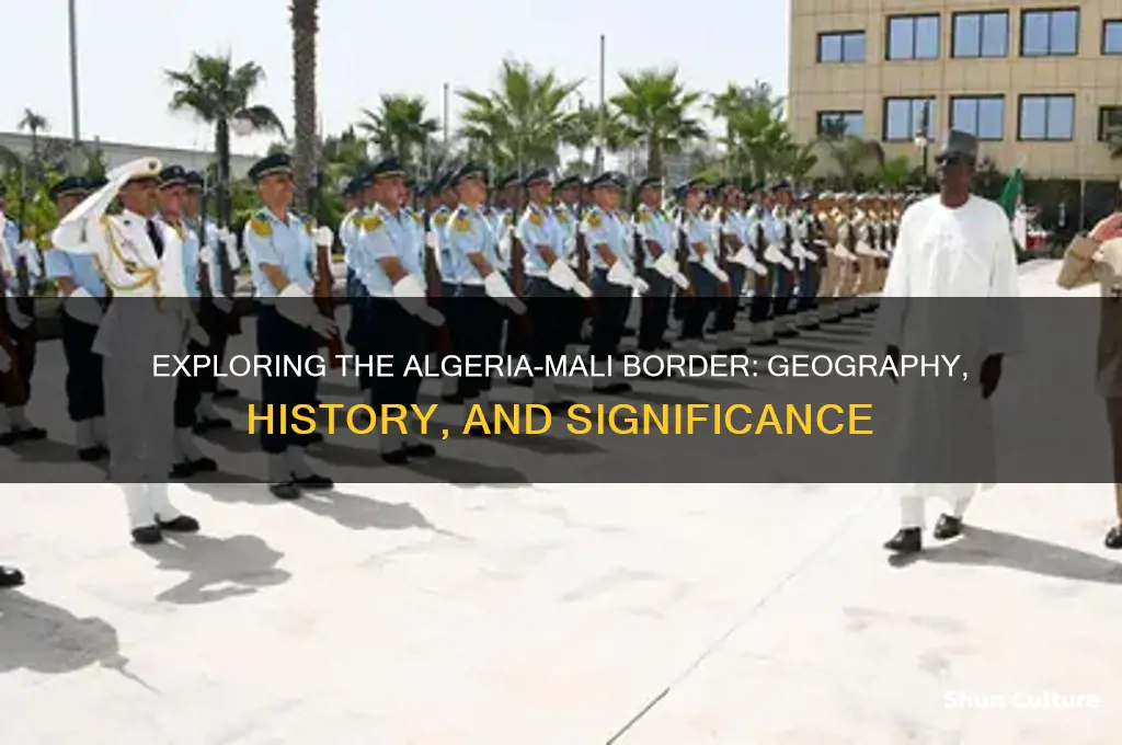 what is the border between algeria and mali