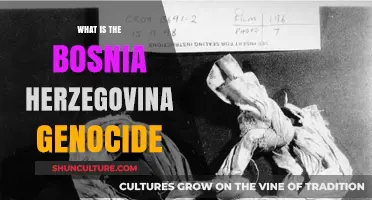 Understanding the Bosnia-Herzegovina Genocide: Causes, Impact, and Legacy