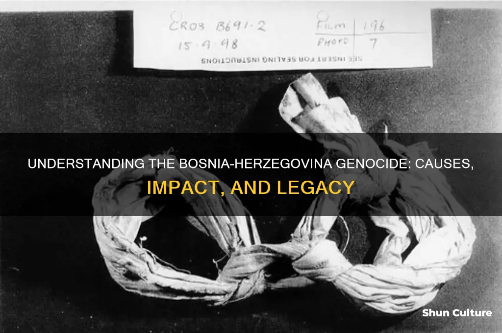 what is the bosnia herzegovina genocide