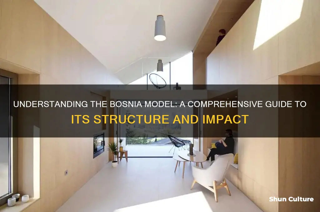 what is the bosnia model