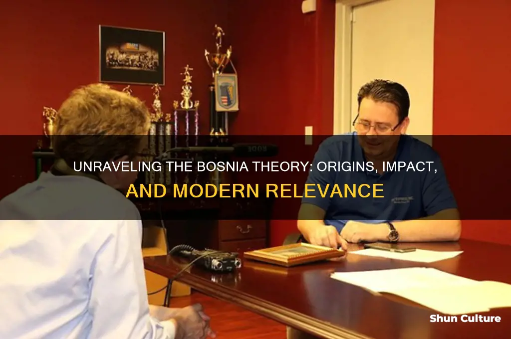 what is the bosnia theroy