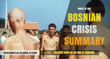 Understanding the Bosnian Crisis: Causes, Events, and Global Impact