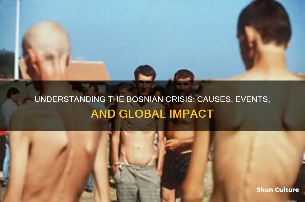 what is the bosnian crisis summary