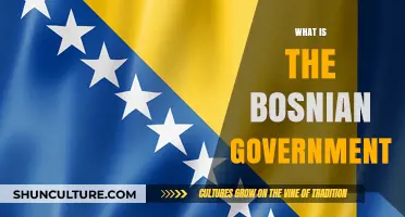 Understanding Bosnia's Government: Structure, Powers, and Political Dynamics