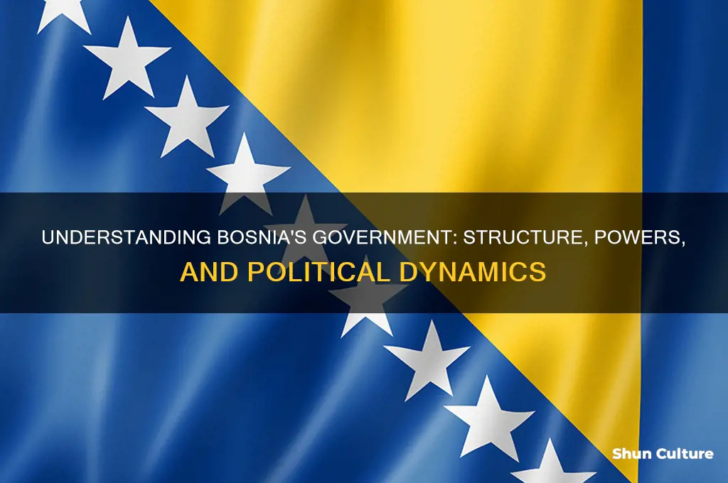 what is the bosnian government