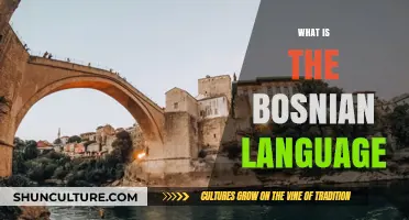 Exploring Bosnian: A Unique Slavic Language and Its Cultural Significance
