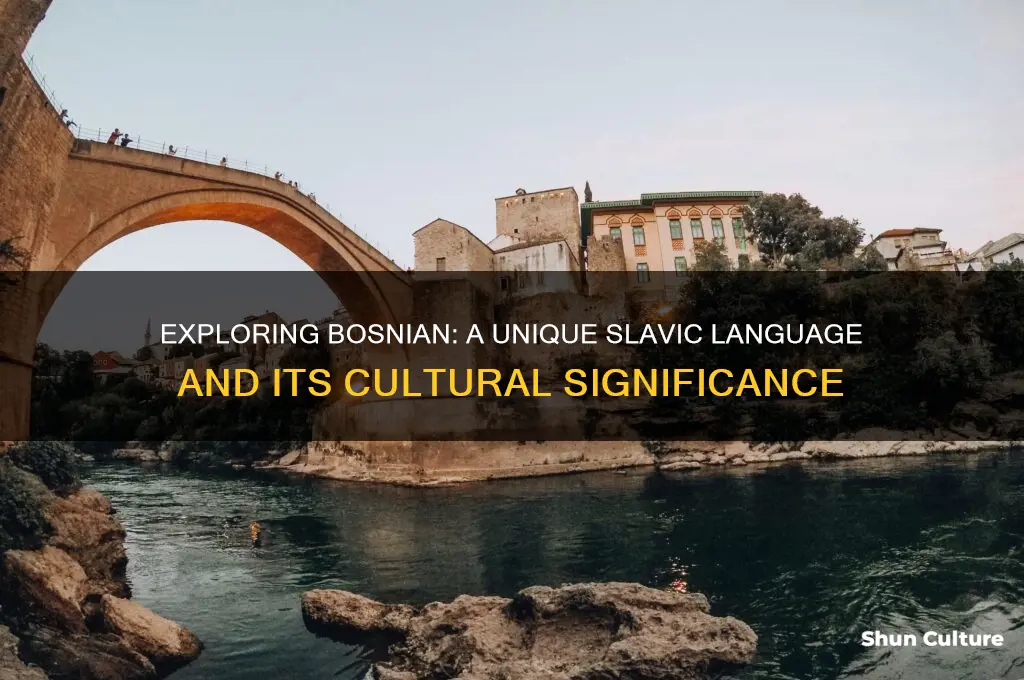 what is the bosnian language