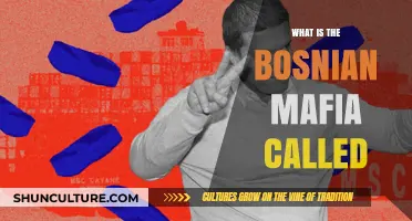 Unveiling the Bosnian Mafia: Exploring the Name and Its Origins