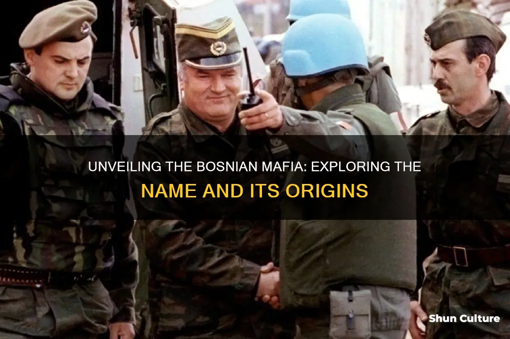 what is the bosnian mafia called