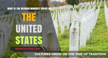 Understanding the Bosnian Minority Group in the United States