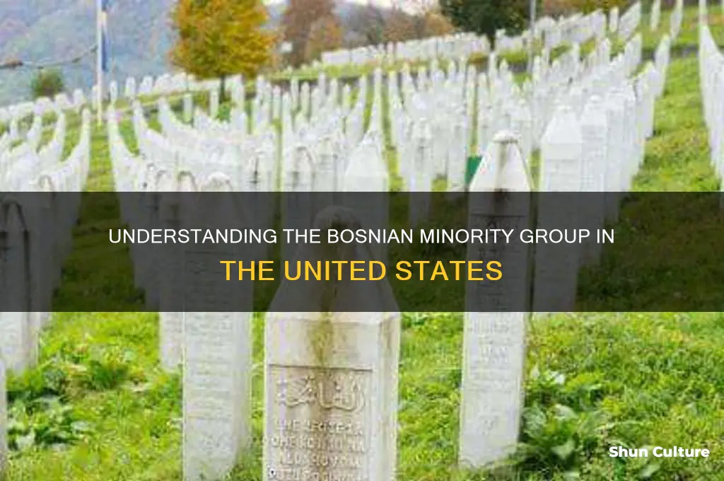 what is the bosnian minority group in the united states