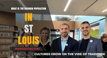 Bosnian Community in St. Louis: Population, Culture, and Impact