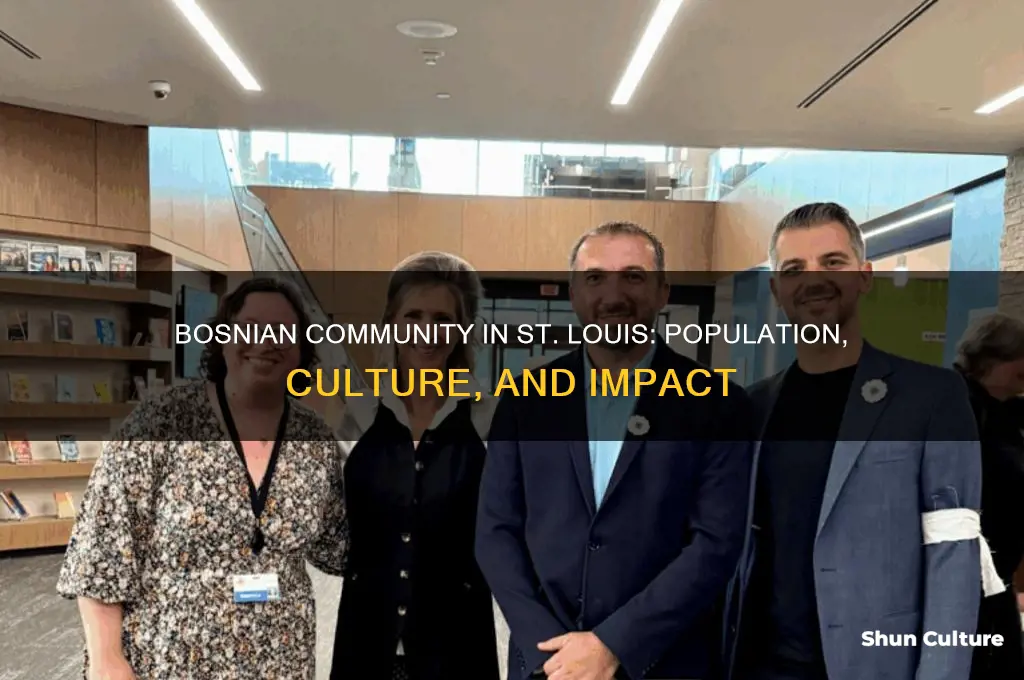 what is the bosnian population in st louis