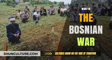 Understanding the Bosnian War: Causes, Conflict, and Consequences Explained