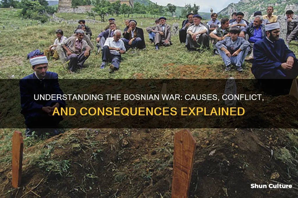 what is the bosnian war