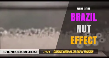 Understanding the Brazil Nut Effect: A Surprising Phenomenon Explained