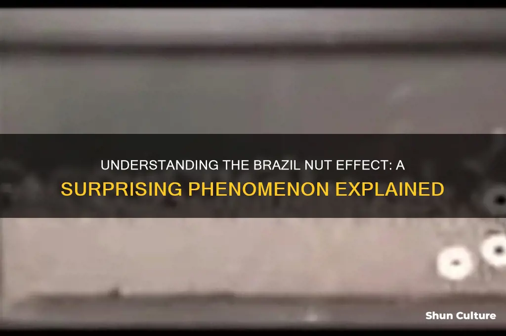 what is the brazil nut effect
