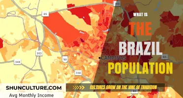Exploring Brazil's Population: Size, Growth, and Demographics Unveiled