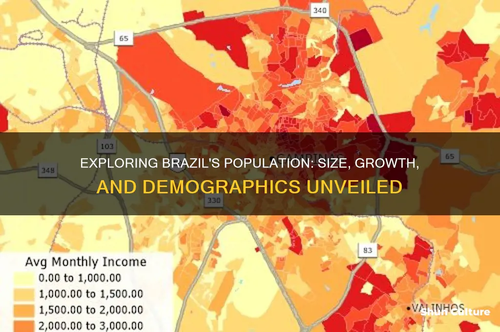 what is the brazil population