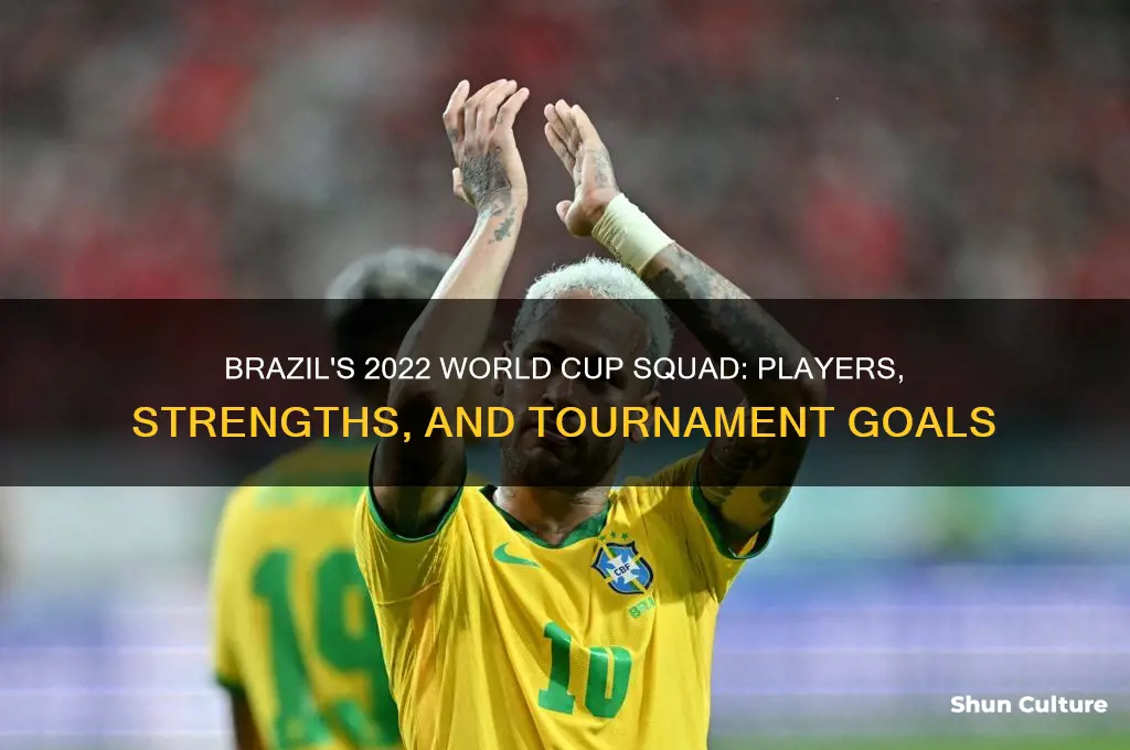 what is the brazil world cup squad