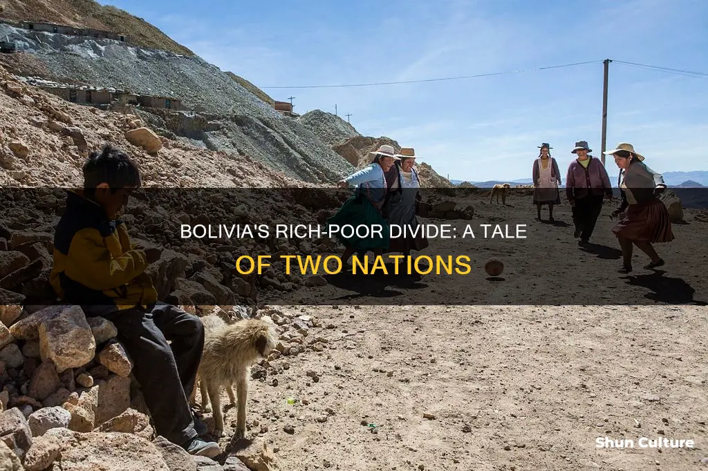 what is the breakup in bolivia of rich and poor