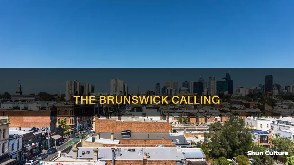 what is the brunswick area call