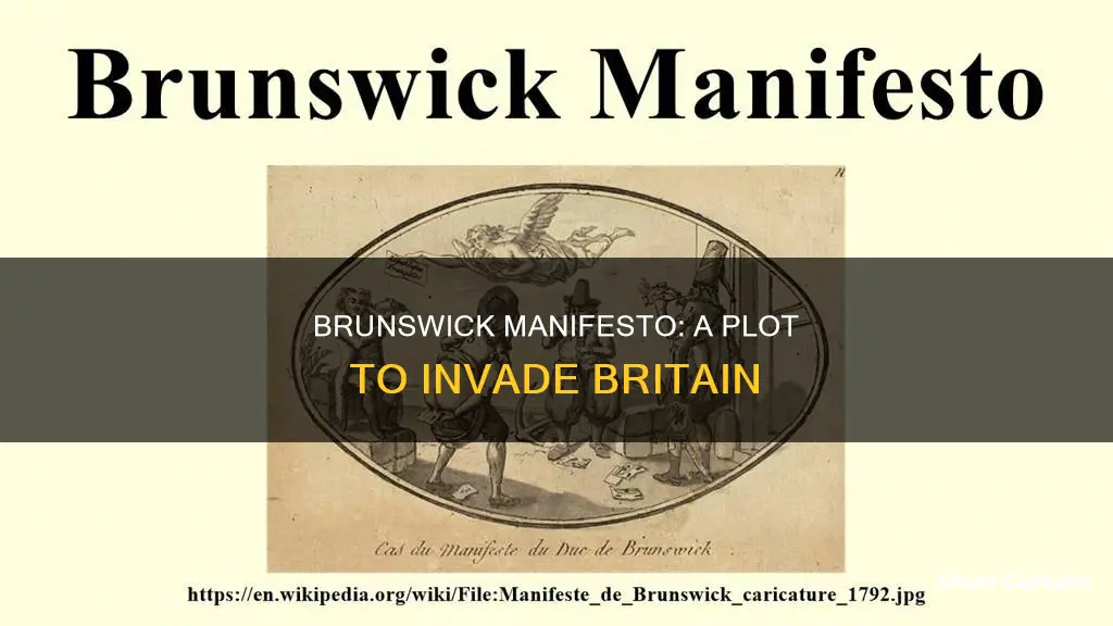 what is the brunswick manifesto
