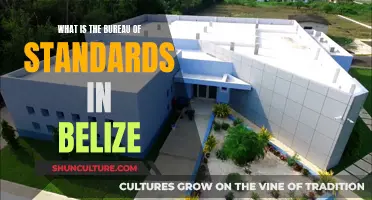 Belize's Bureau of Standards: Setting the Bar for Quality and Safety