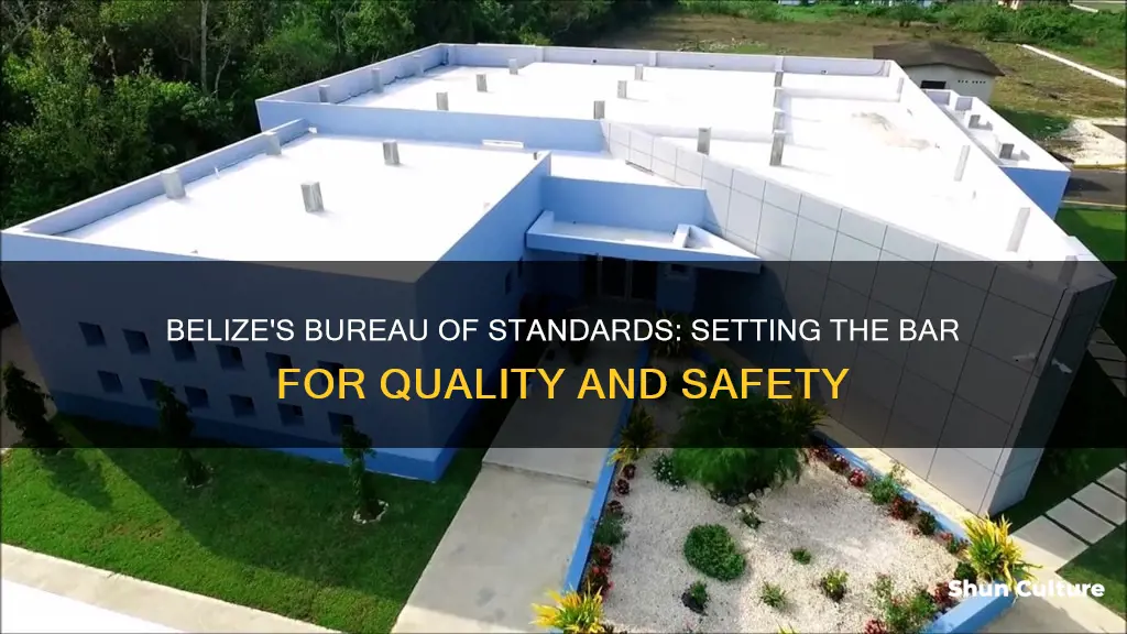 what is the bureau of standards in belize