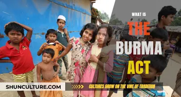 Understanding the Burma Act: A Comprehensive Guide to Its Impact