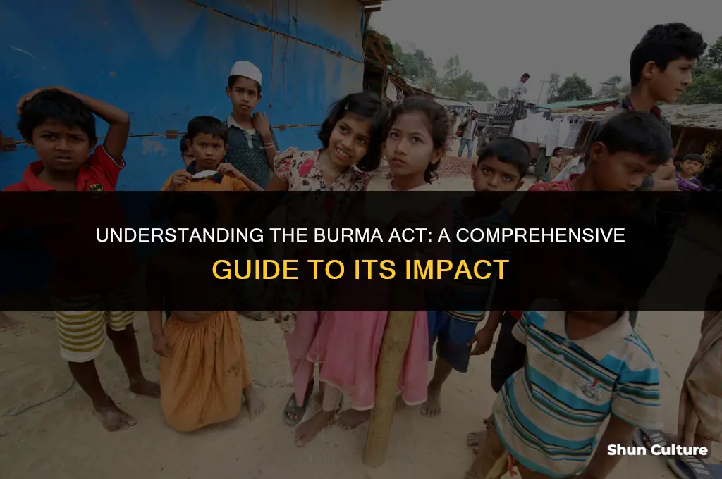 what is the burma act