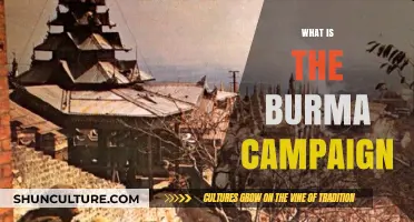 Unveiling the Burma Campaign: A Journey Through History and Impact