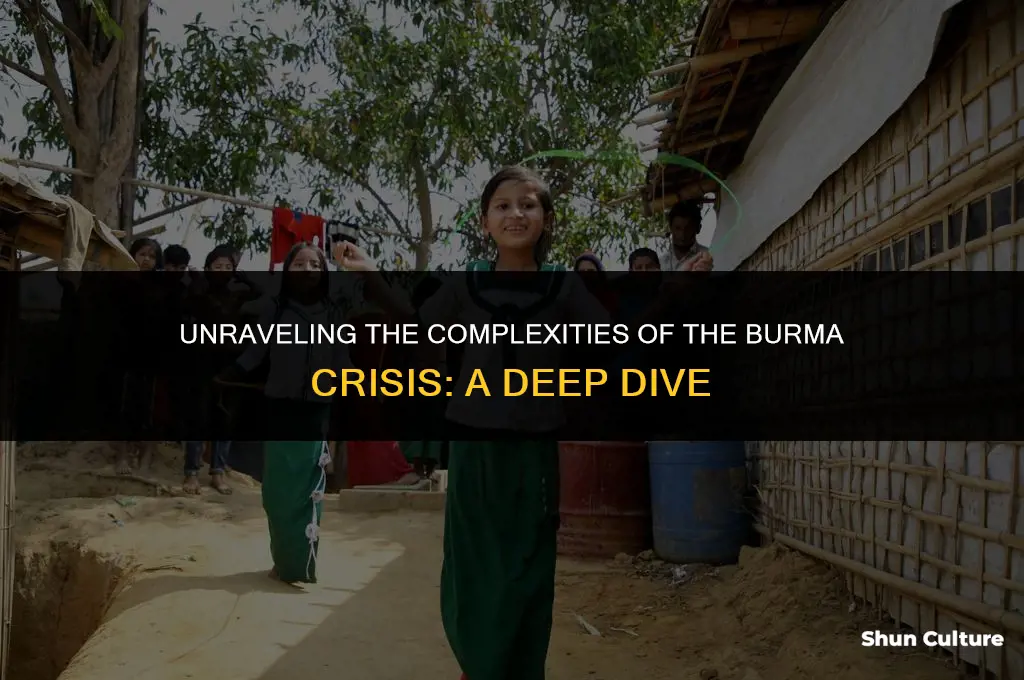 what is the burma crisis
