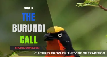 Unveiling the Burundi Call: A Journey into African Birdsong