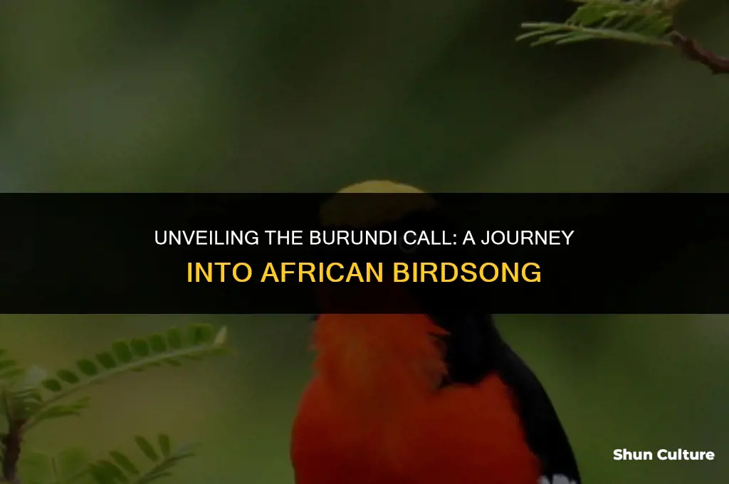 what is the burundi call