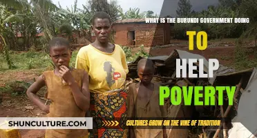 Burundi's Anti-Poverty Initiatives: A Government's Commitment to Change