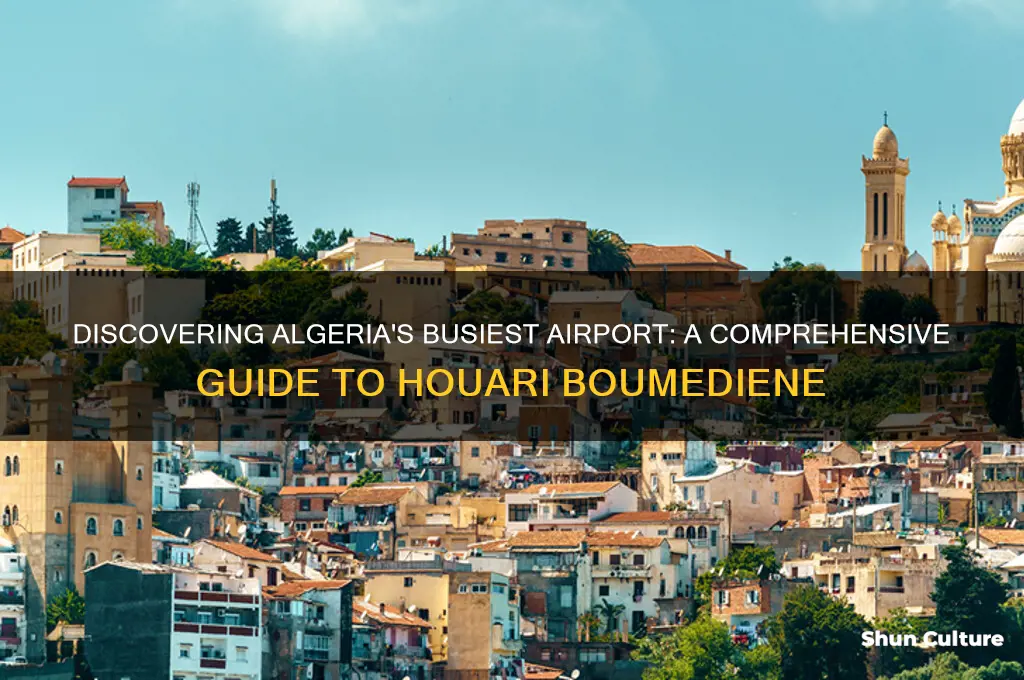 what is the busiest airport in algeria