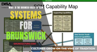 SCM Systems: Brunswick's Competitive Advantage